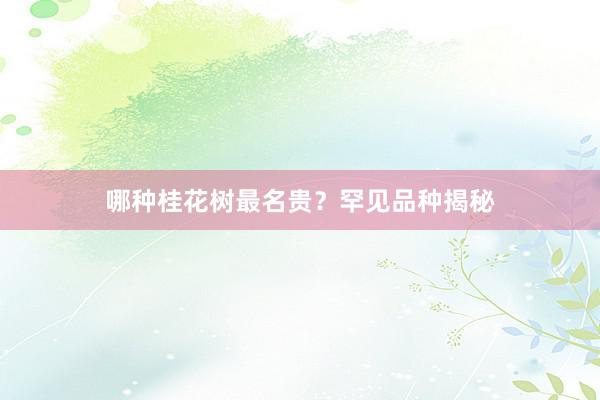 哪种桂花树最名贵？罕见品种揭秘